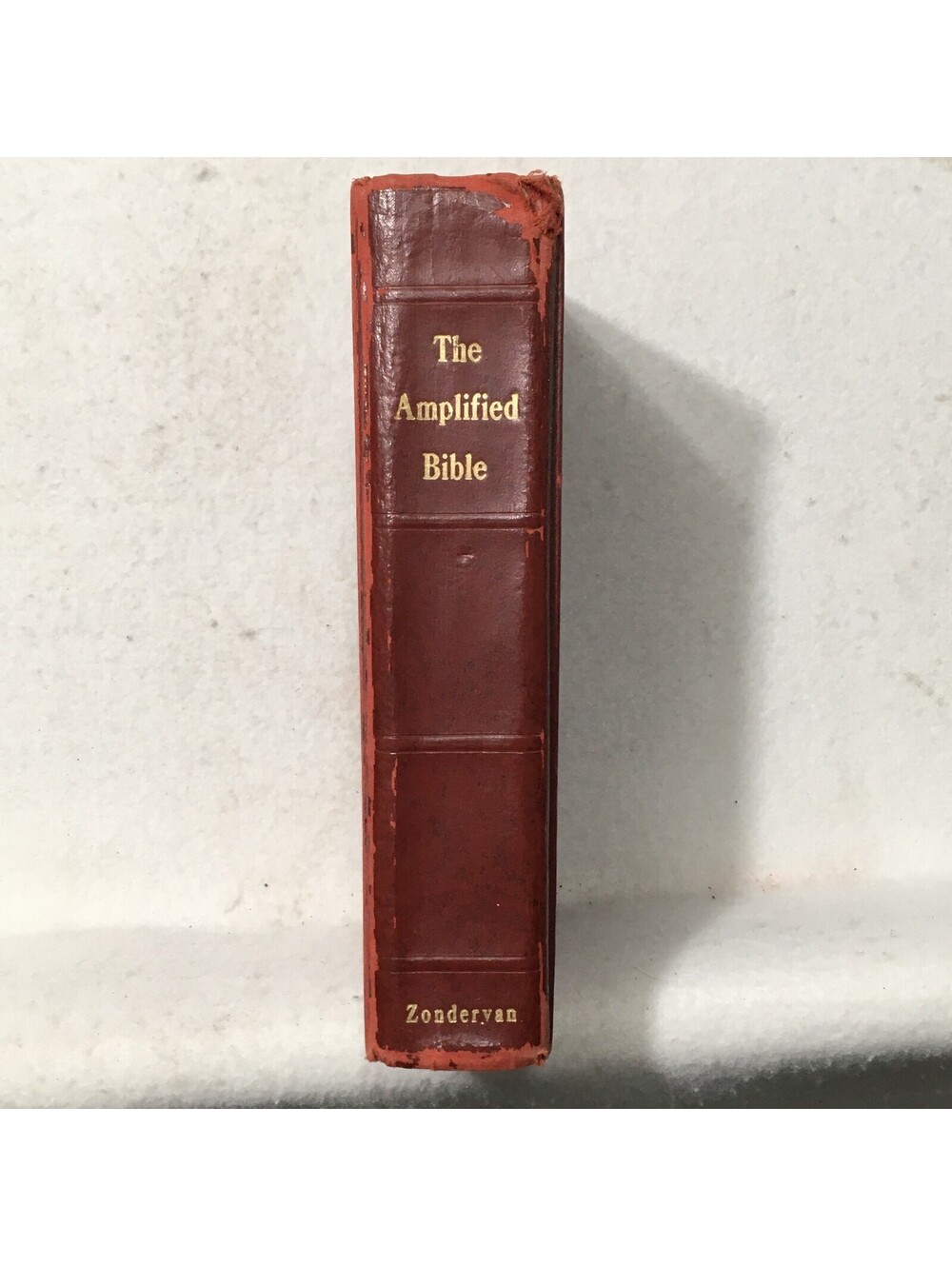 Bible Believer God THE AMPLIFIED BIBLE ZONDERVAN 1965 NOTES